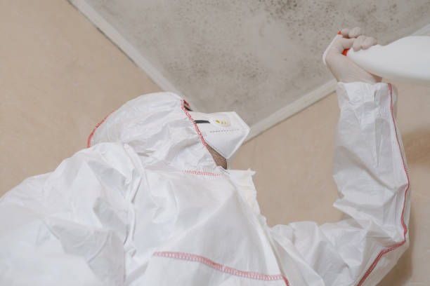Office Mold Removal Services in Barclay, NJ